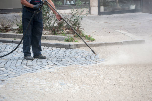 Best Animal Enclosure Cleaning  in Morton, IL