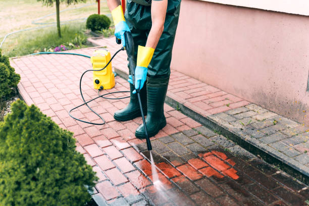Best Solar Panel Cleaning  in Morton, IL