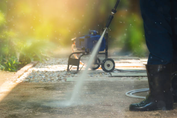 Best Fence Cleaning  in Morton, IL
